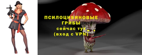 ECSTASY Балахна