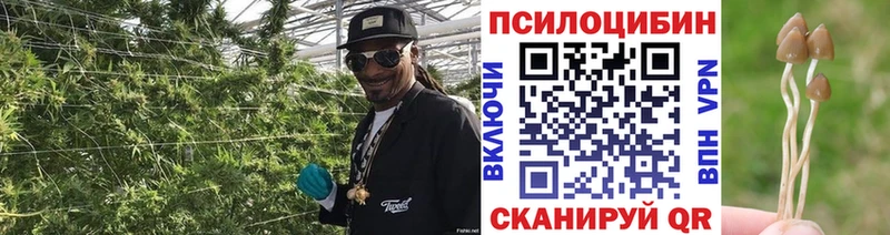Галлюциногенные грибы Cubensis  ссылка на мегу как войти  Удачный 